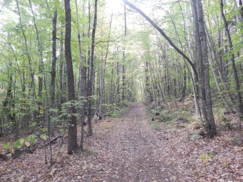 Lot#r13l50 Corn Hill Road Brownfield ME 04010