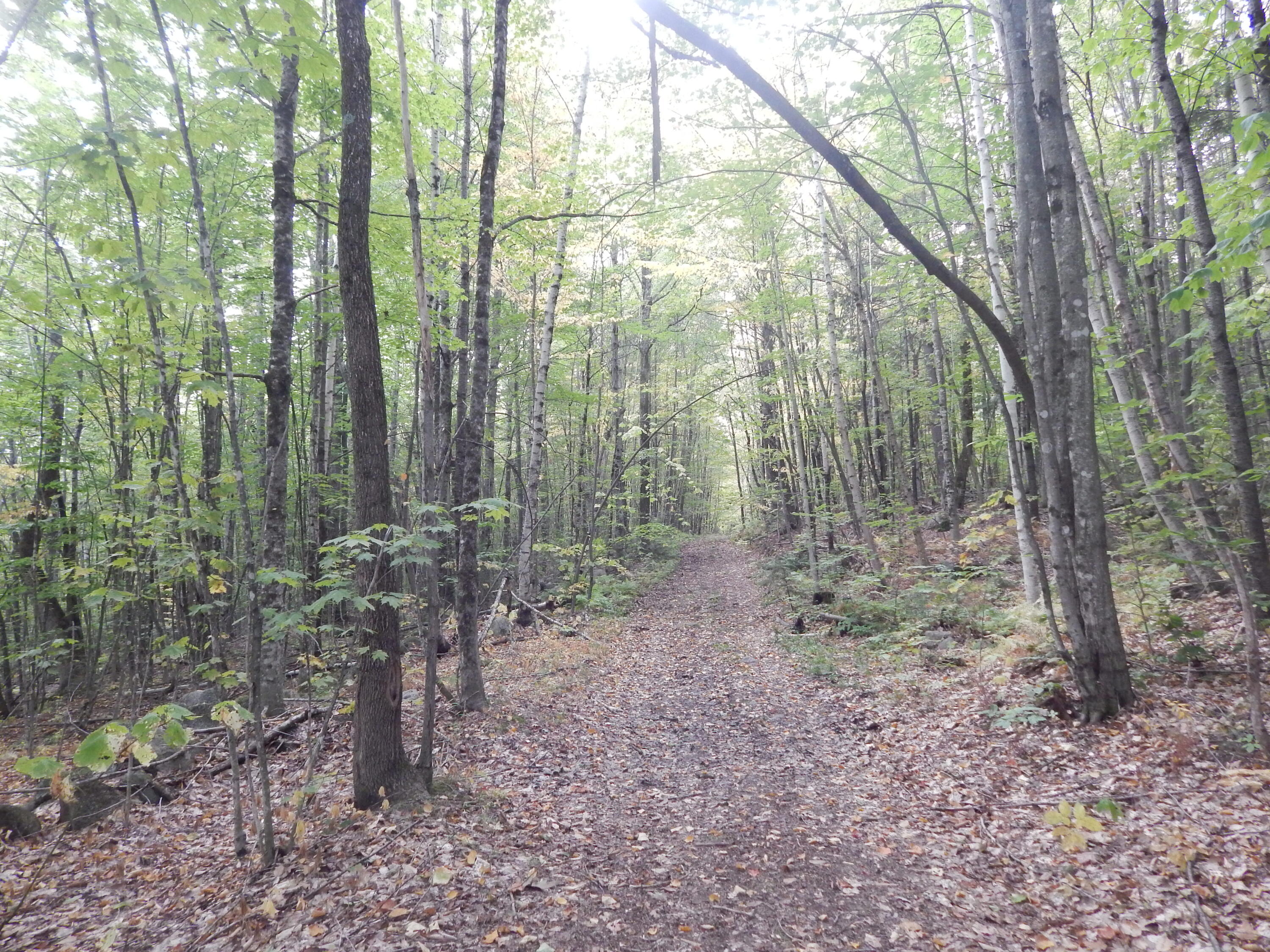 LOT#R13L50 Corn Hill Road Brownfield ME 04010