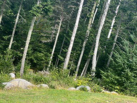 Lot 1 Town Boat Landing Road Harrington ME 04643