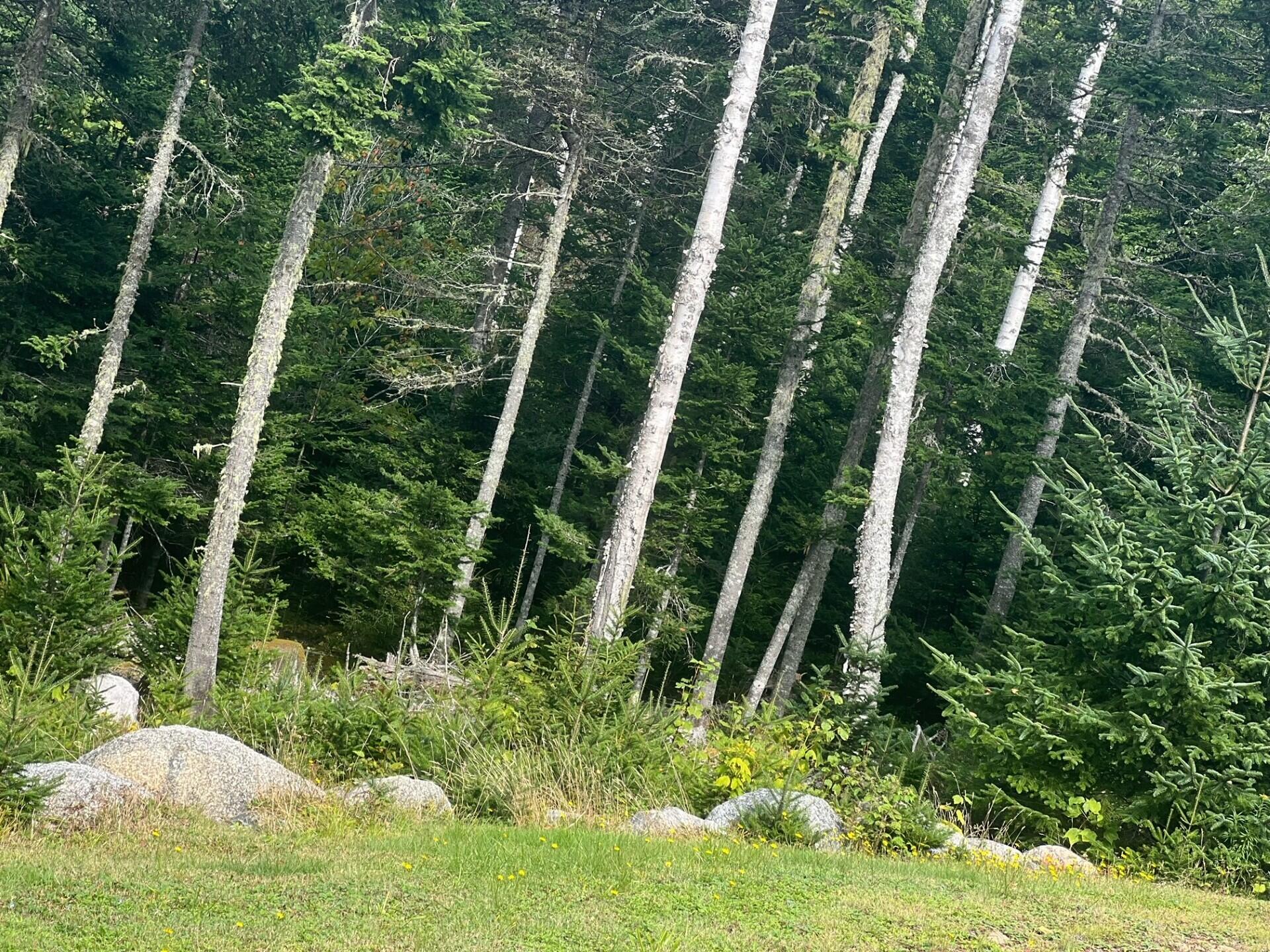 Lot 1 Town Boat Landing Road Harrington ME 04643