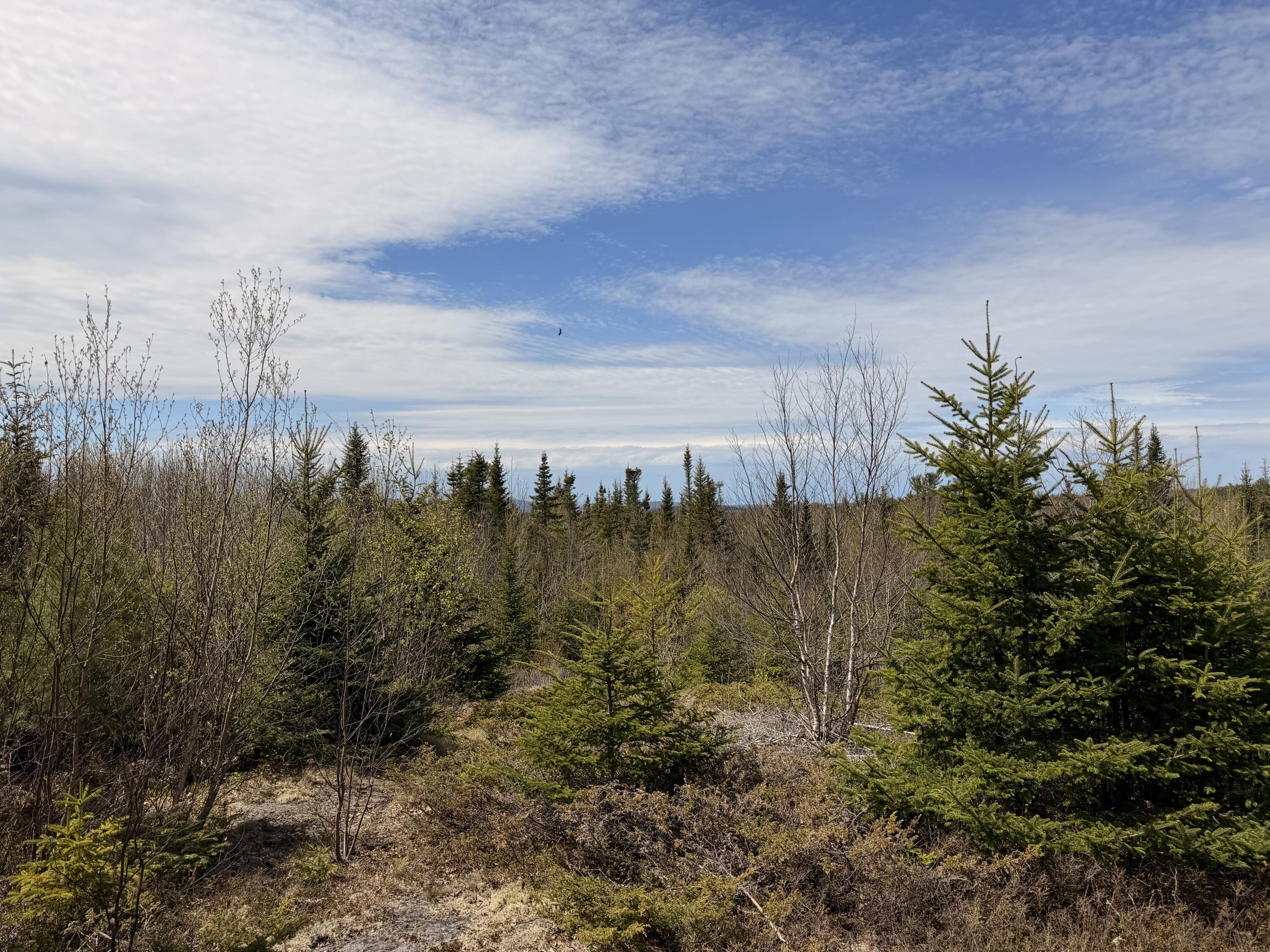 76 Morancy Road Sullivan ME 04664