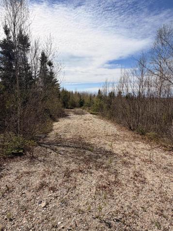 76 Morancy Road Sullivan ME 04664