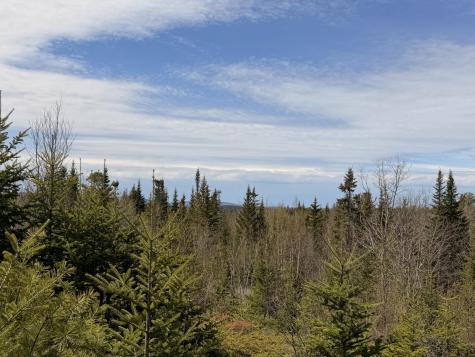 76 Morancy Road Sullivan ME 04664