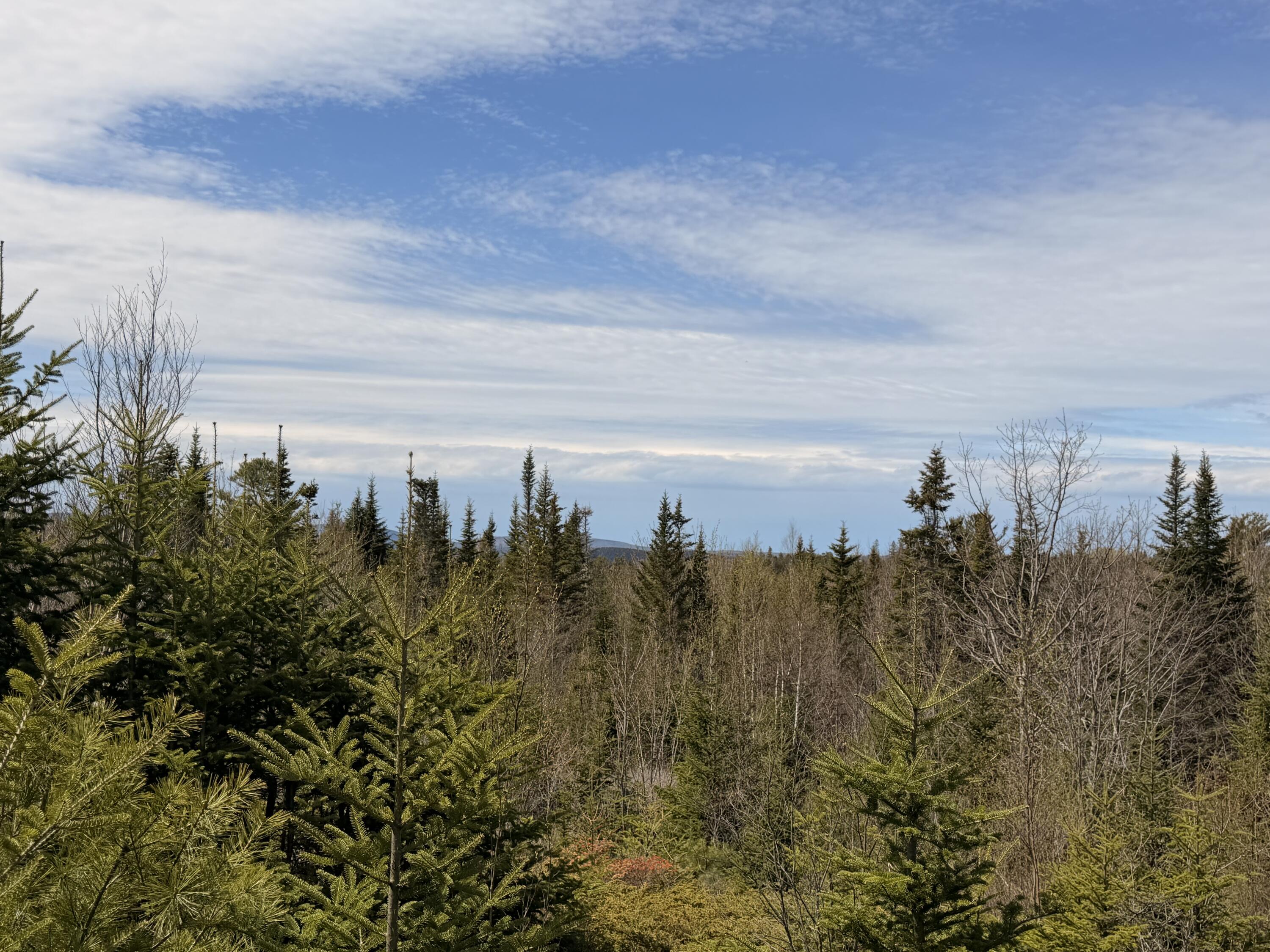 76 Morancy Road Sullivan ME 04664