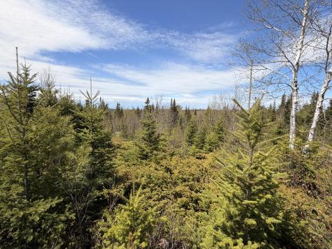 76 Morancy Road Sullivan ME 04664