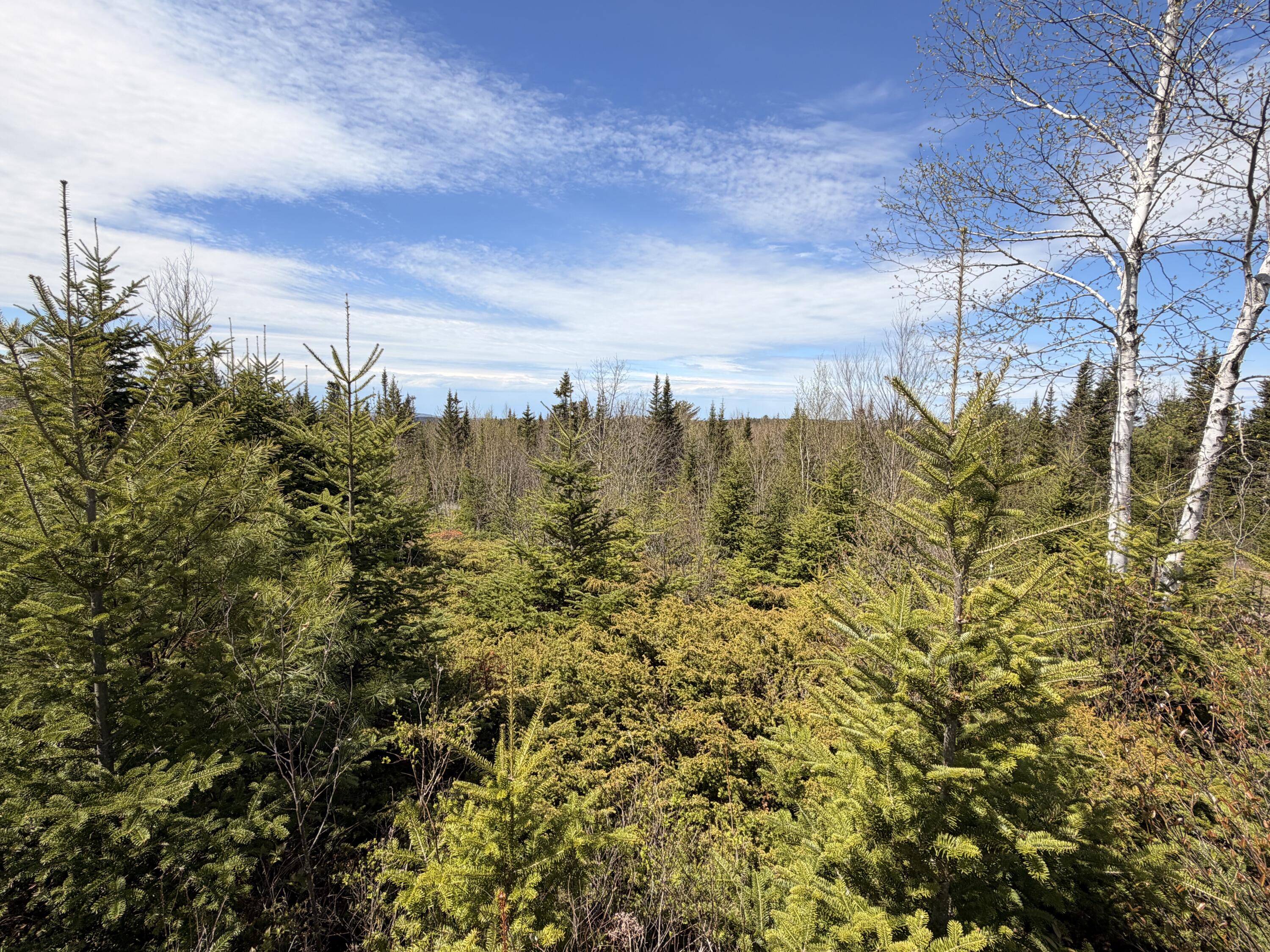 76 Morancy Road Sullivan ME 04664