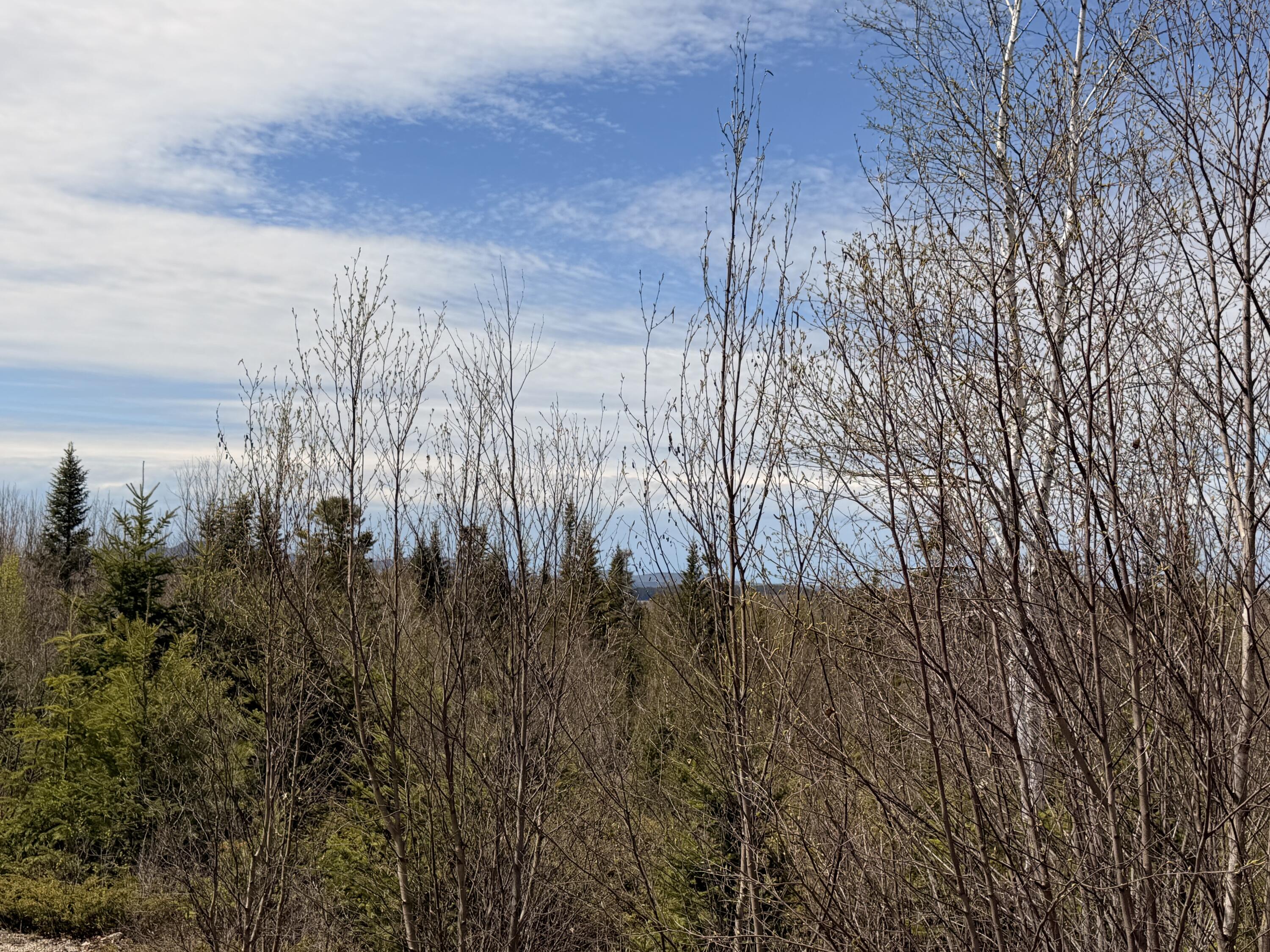 76 Morancy Road Sullivan ME 04664