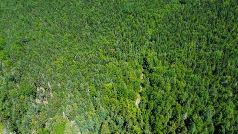 M4L1 Addison Road Columbia ME 04623