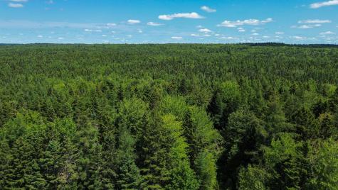 M4L1 Addison Road Columbia ME 04623