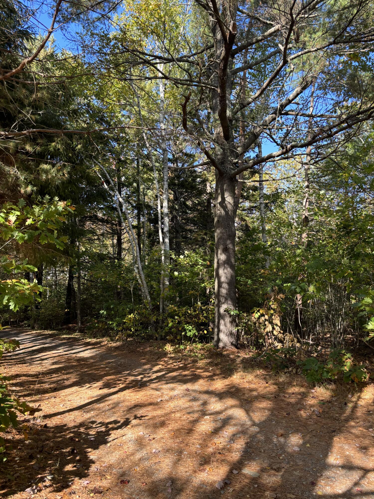 Lot#00 Mills Road Kennebunkport ME 04046