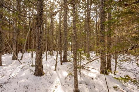 Lot 13 Nahanada Road Bristol ME 04554
