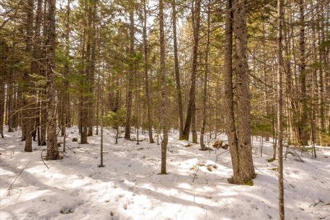 Lot 13 Nahanada Road Bristol ME 04554