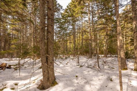 Lot 13 Nahanada Road Bristol ME 04554