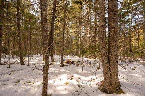 Lot 13 Nahanada Road Bristol ME 04554