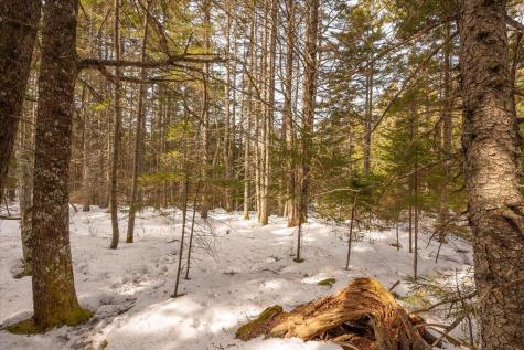 Lot 13 Nahanada Road Bristol ME 04554