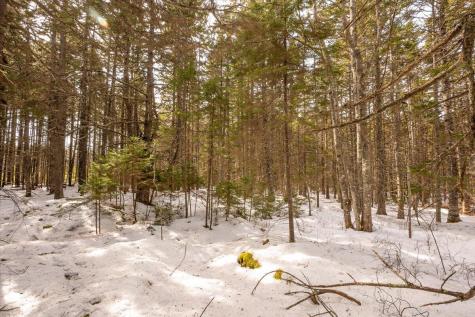Lot 13 Nahanada Road Bristol ME 04554