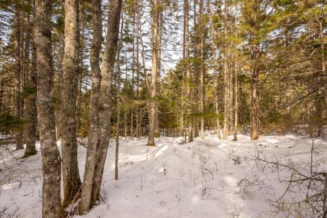 Lot 13 Nahanada Road Bristol ME 04554