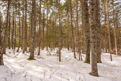 Lot 13 Nahanada Road Bristol ME 04554