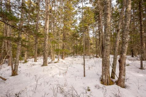 Lot 13 Nahanada Road Bristol ME 04554