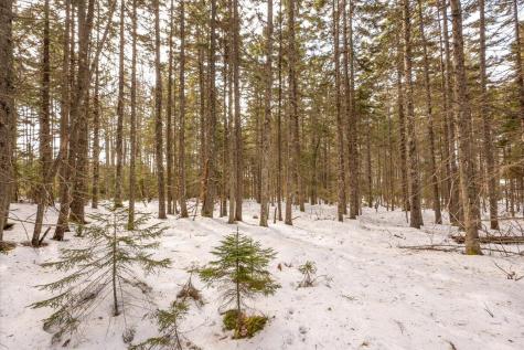Lot 13 Nahanada Road Bristol ME 04554
