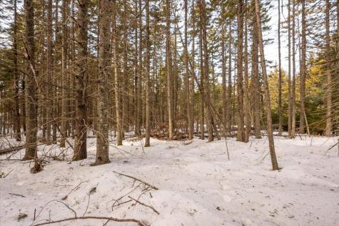 Lot 13 Nahanada Road Bristol ME 04554