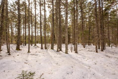 Lot 13 Nahanada Road Bristol ME 04554