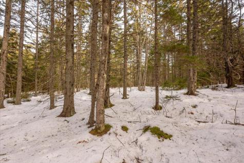 Lot 13 Nahanada Road Bristol ME 04554