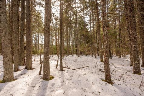 Lot 13 Nahanada Road Bristol ME 04554