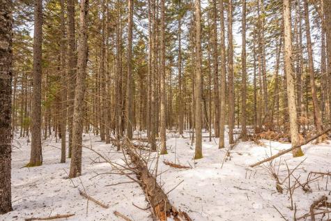 Lot 13 Nahanada Road Bristol ME 04554