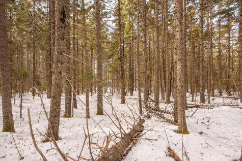 Lot 13 Nahanada Road Bristol ME 04554