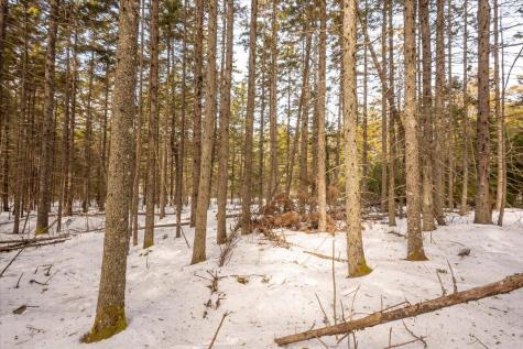 Lot 13 Nahanada Road Bristol ME 04554