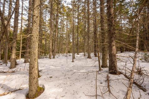 Lot 13 Nahanada Road Bristol ME 04554