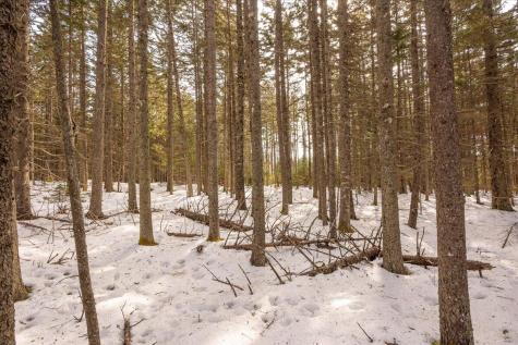 Lot 13 Nahanada Road Bristol ME 04554