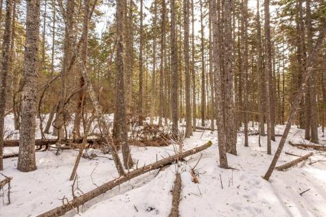 Lot 13 Nahanada Road Bristol ME 04554