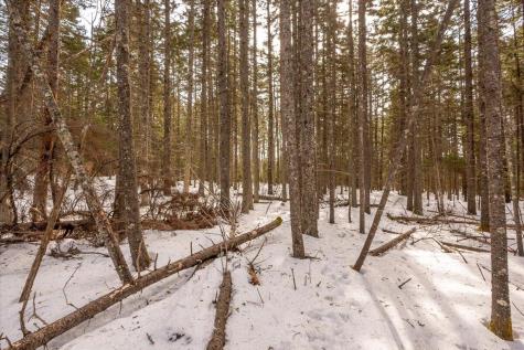 Lot 13 Nahanada Road Bristol ME 04554