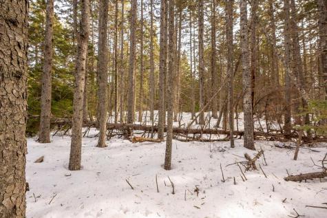 Lot 13 Nahanada Road Bristol ME 04554