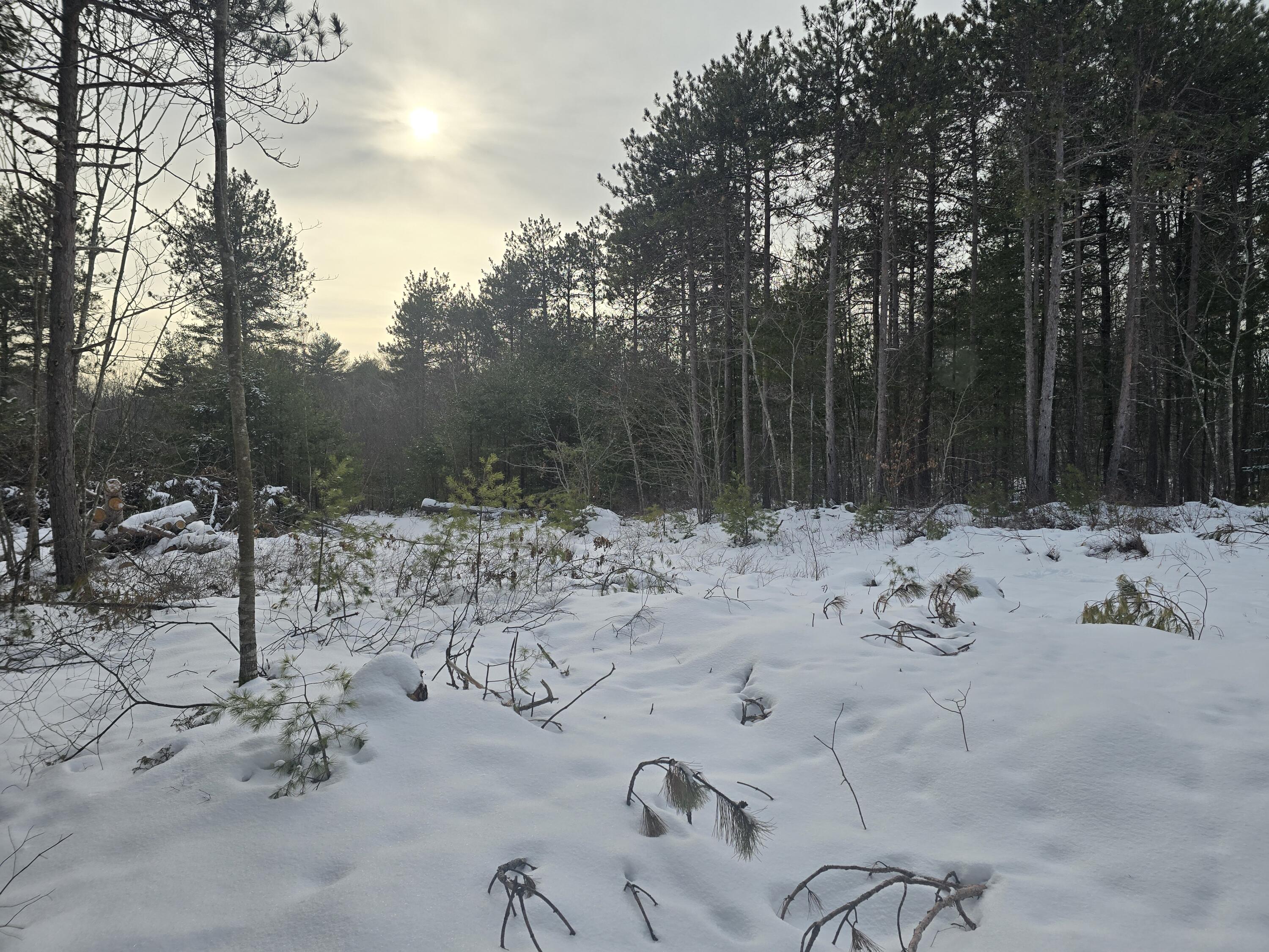 0 Victory Lane Phippsburg ME 04562