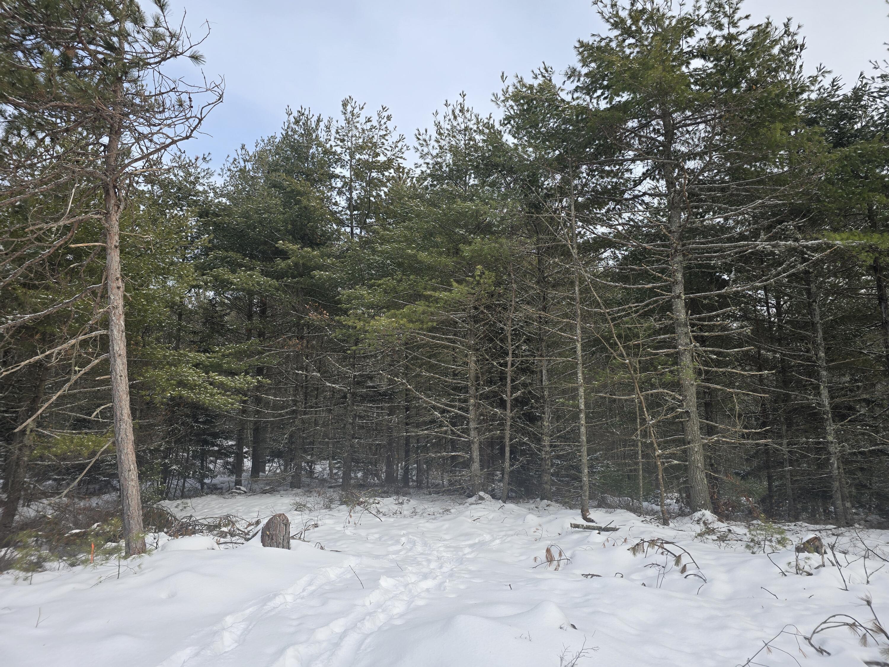 0 Victory Lane Phippsburg ME 04562