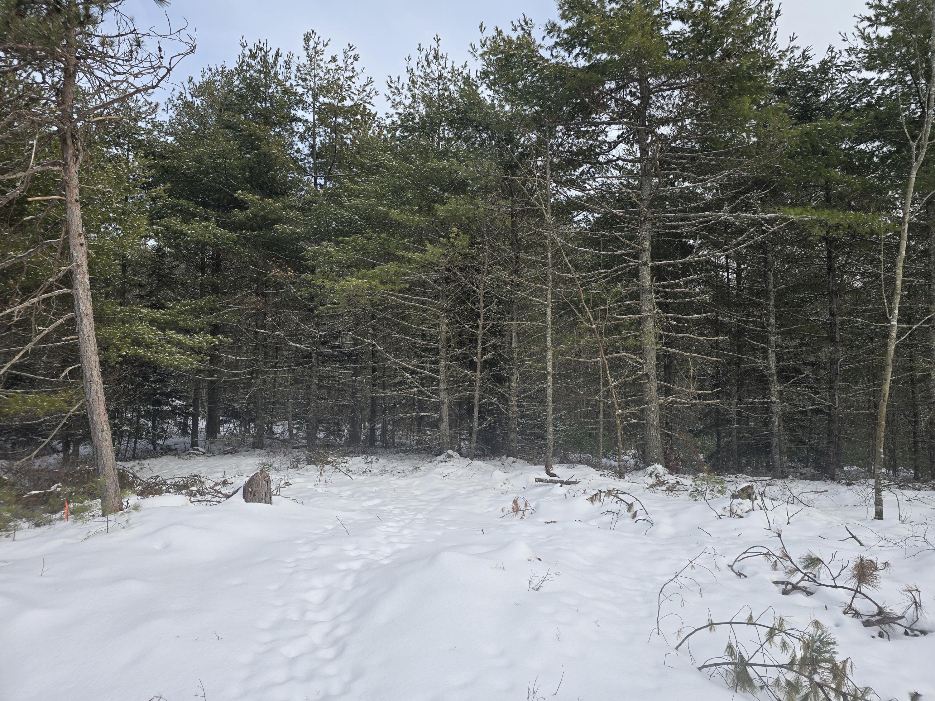 0 Victory Lane Phippsburg ME 04562