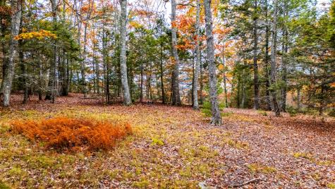LOT#4 Bay View Trail Edgecomb ME 04556