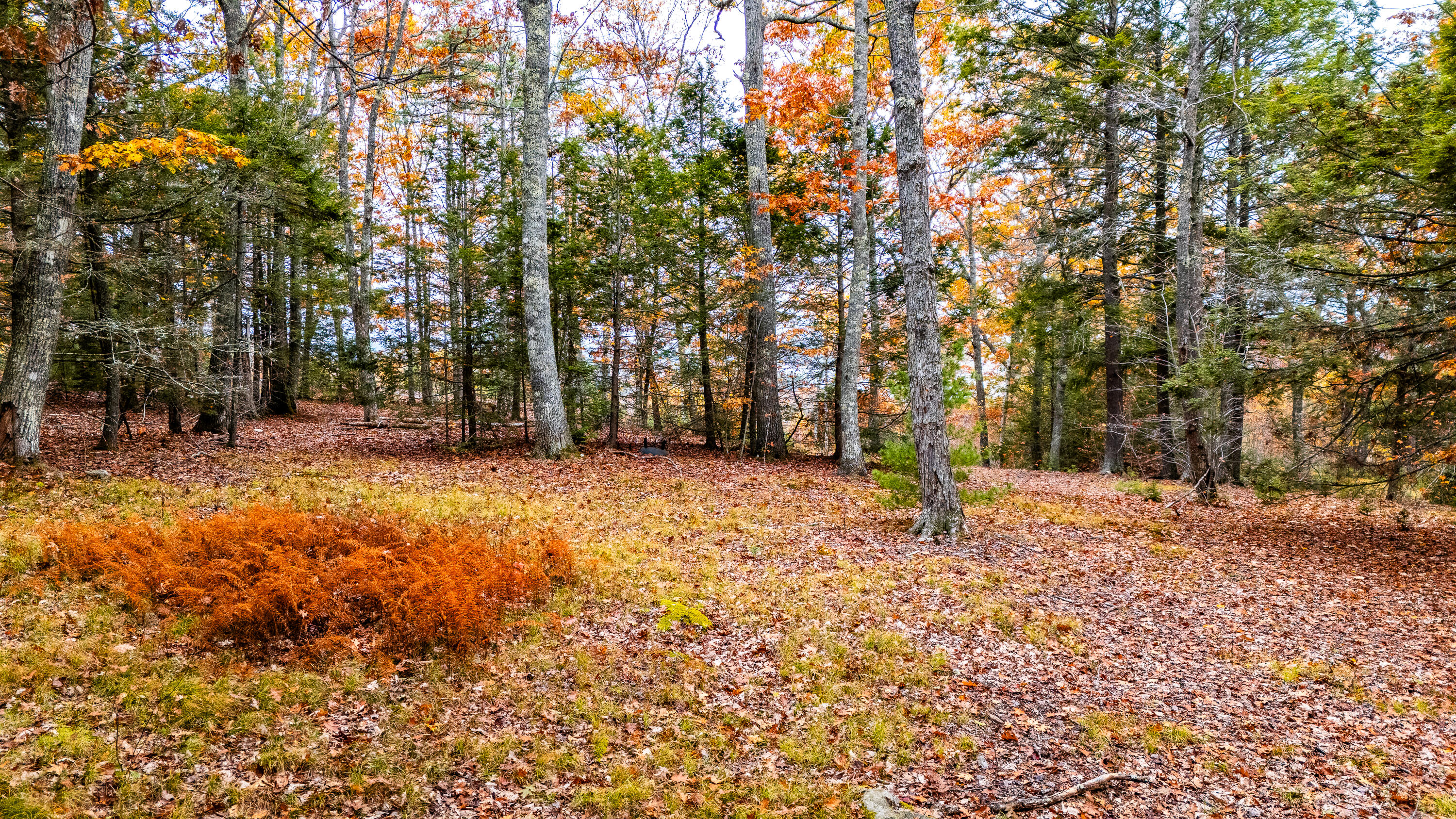 LOT#4 Bay View Trail Edgecomb ME 04556