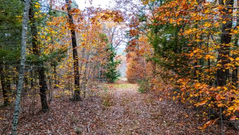 LOT#4 Bay View Trail Edgecomb ME 04556