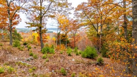 LOT#4 Bay View Trail Edgecomb ME 04556