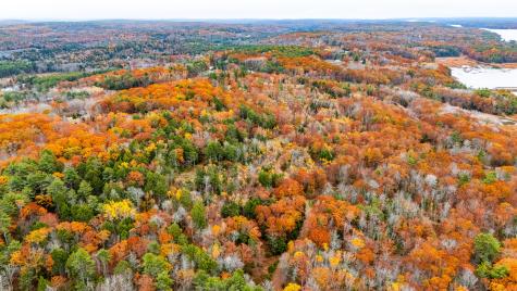 LOT#4 Bay View Trail Edgecomb ME 04556