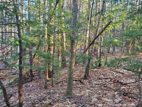 Lot #47 Gray Road Gorham ME 04038