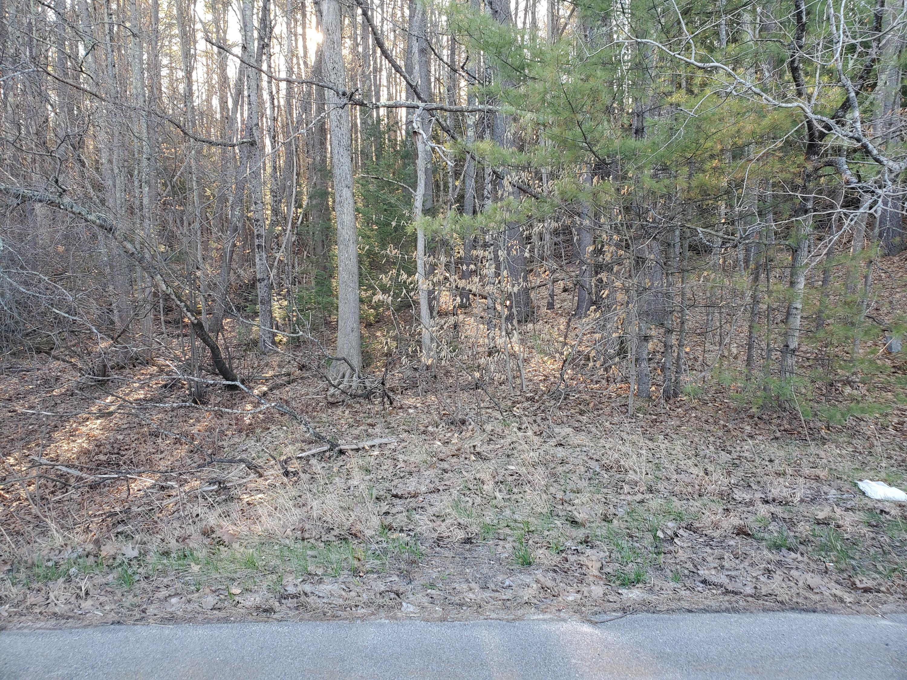 Lot #47 Gray Road Gorham ME 04038