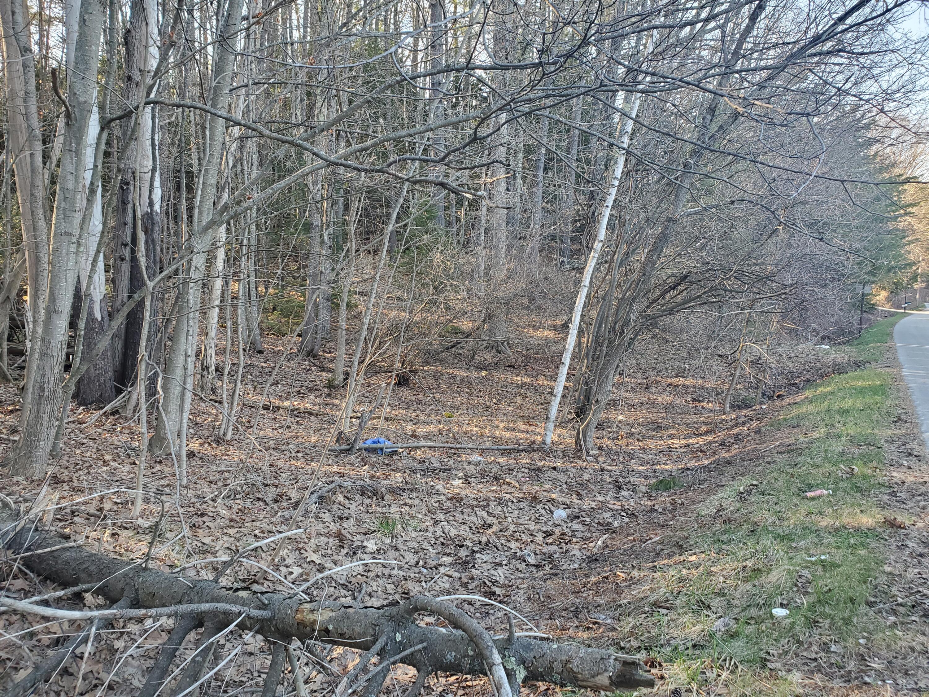 Lot #47 Gray Road Gorham ME 04038