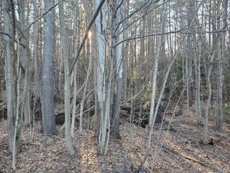 Lot #47 Gray Road Gorham ME 04038