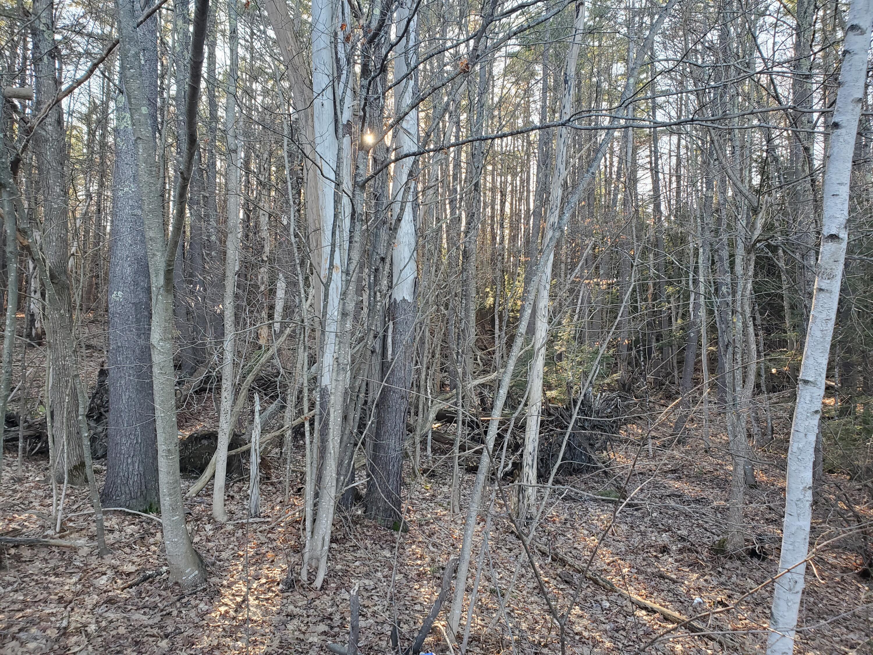 Lot #47 Gray Road Gorham ME 04038