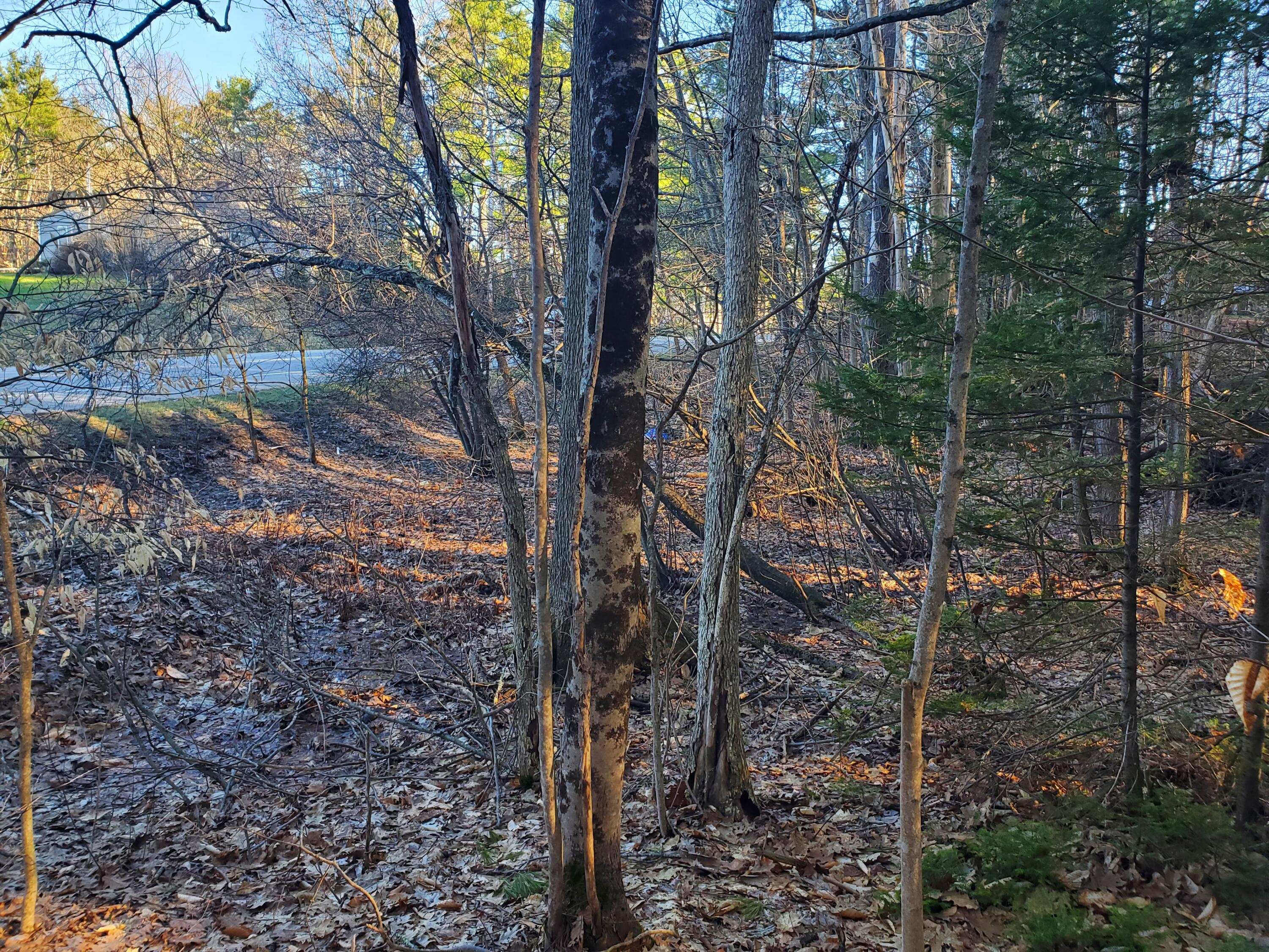 Lot #47 Gray Road Gorham ME 04038